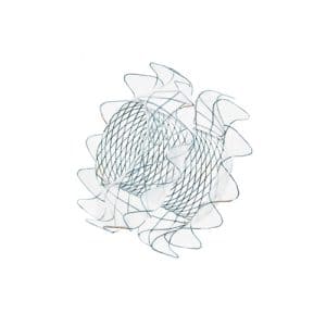 Stent metálico autoexpandible biliar (SPAXUS)
