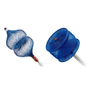 Vascular Plugs